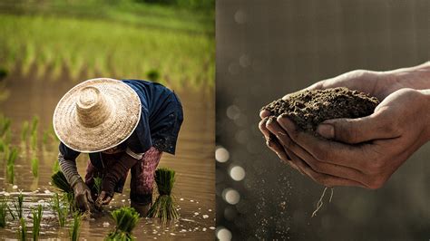 agrarian reform in the philippines ppt